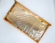 Şekersiz 3.500 Gr Çerçeve Bal