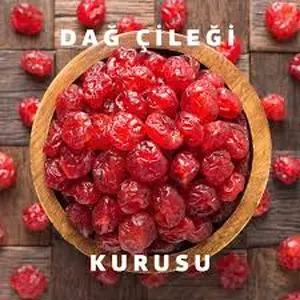 Dağ Çileği