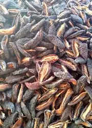 Çekirdeksiz Erik Kurusu