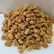 Seçilmiş Dut Kurusu